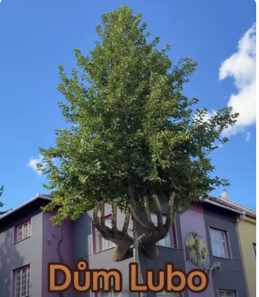 Kristkův dům (dům Lubo)